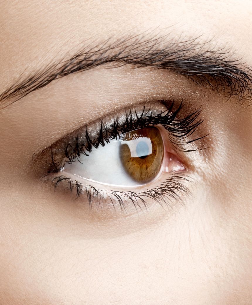 Eyebrow Transplant Eyebrow Transplant